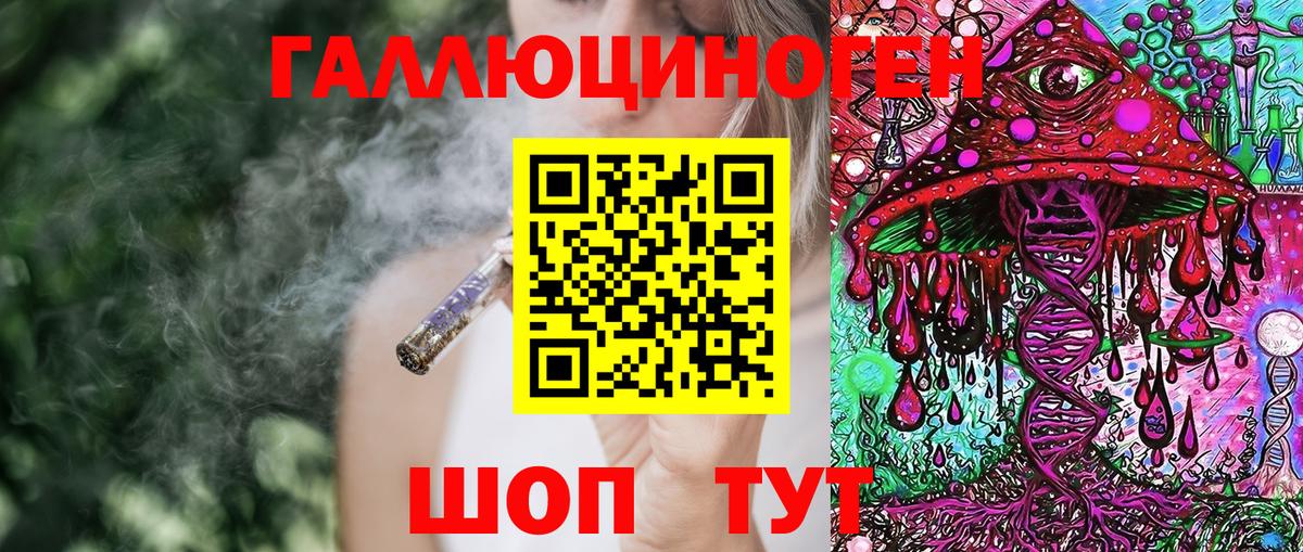 Галлюциногенные грибы мицелий  Псилоцибиновые грибы Psilocybe  Знаменск  Вход с VPN 